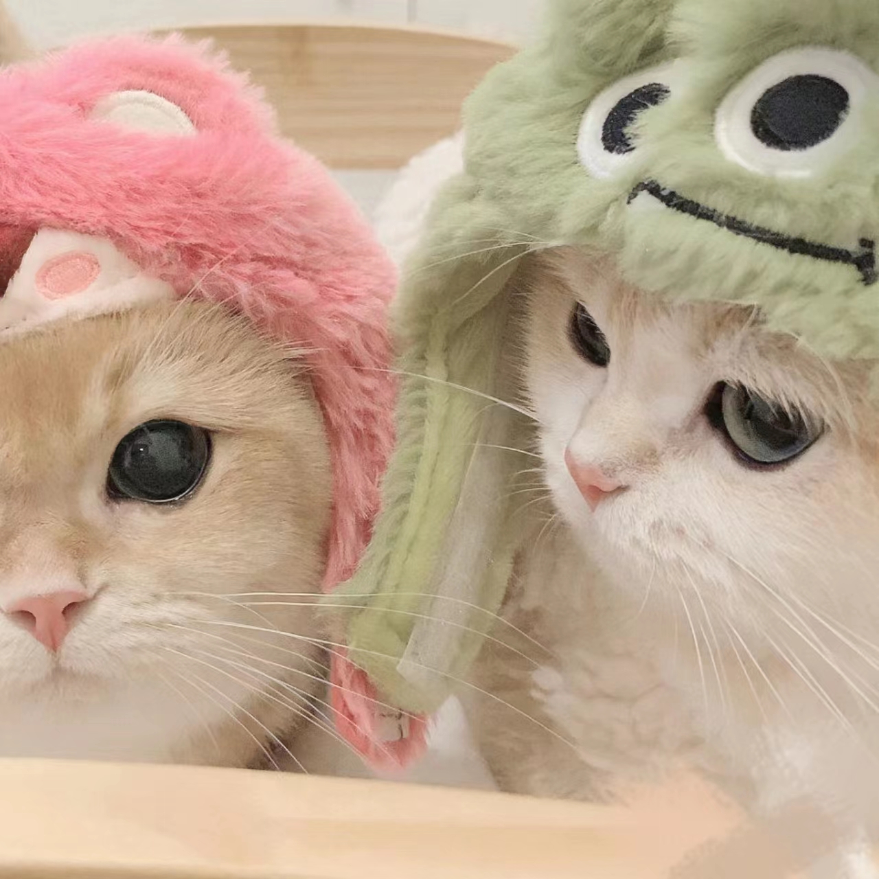 youjizz最新版